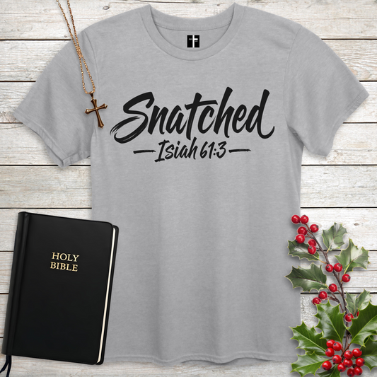 Snatched Isaiah 61:3 Unisex Christian T-Shirt