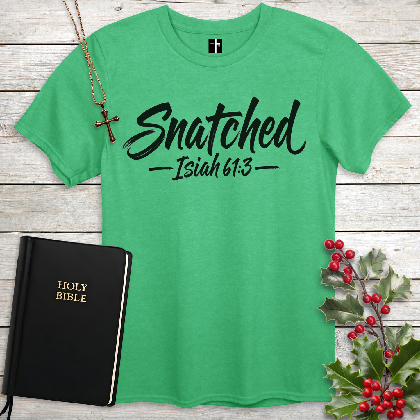 Snatched Isaiah 61:3 Unisex Christian T-Shirt