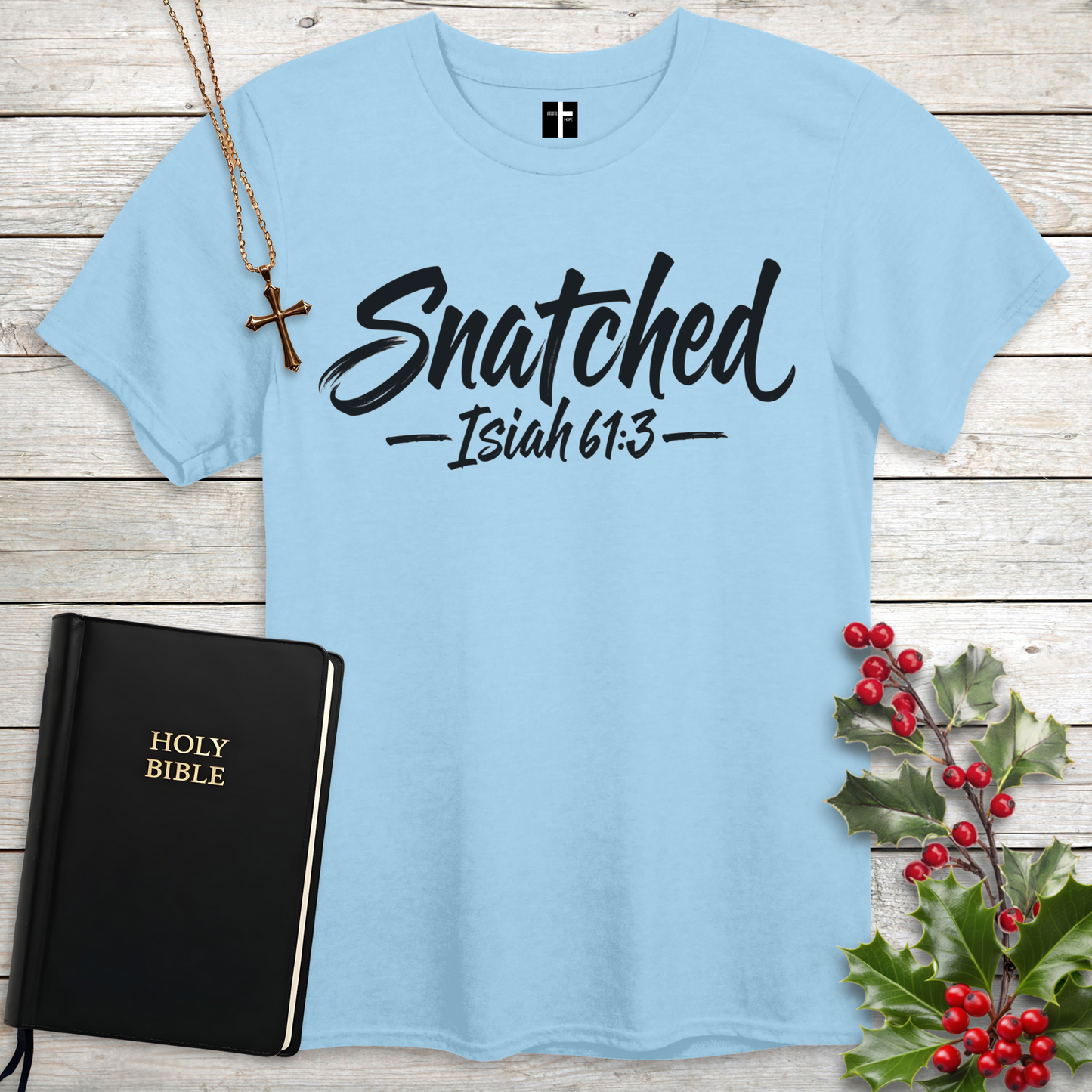 Snatched Isaiah 61:3 Unisex Christian T-Shirt